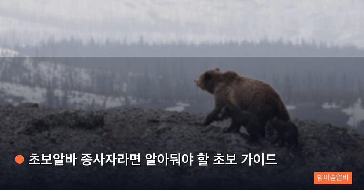 초보알바 종사자라면 알아둬야 할 초보 가이드